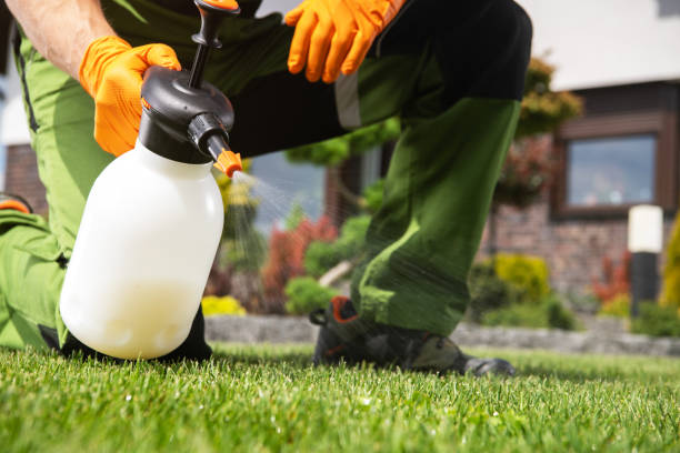 Best Best Pest Control Companies  in Parkville, MD