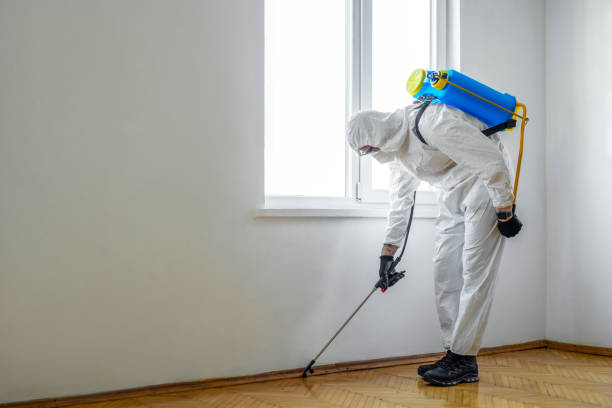 Best Exterminator Services  in Parkville, MD