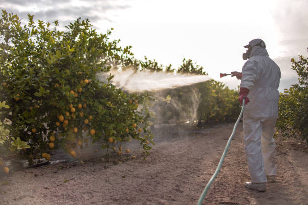 Best Pest Control for Businesses  in Parkville, MD