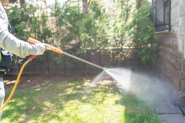 Spider Control Near Me in Parkville, MD